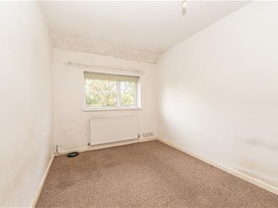 Picture 24